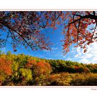 ...IL VERMONT DELL'APPENNINO...