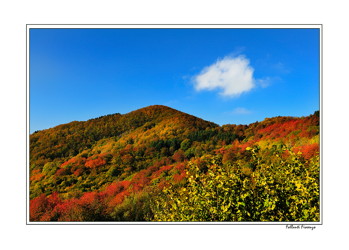 ...IL VERMONT DELL'APPENNINO...