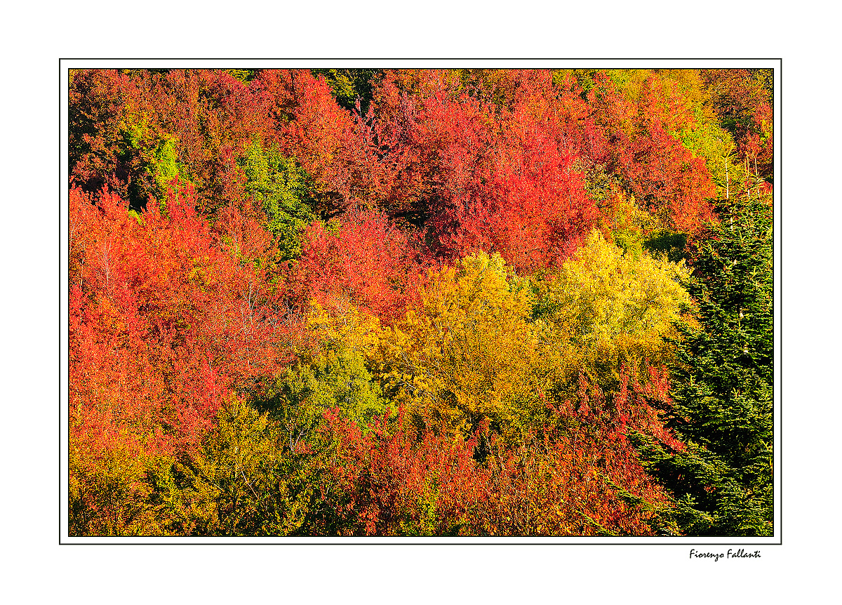 ...IL VERMONT DELL'APPENNINO...2