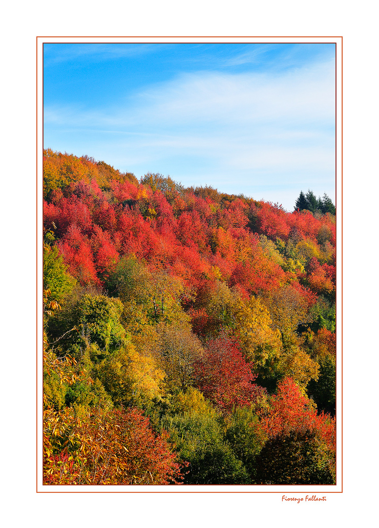 ...IL VERMONT DELL'APPENNINO..3