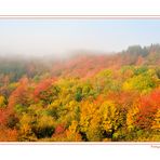 ...IL VERMONT DELL'APPENNINO...3