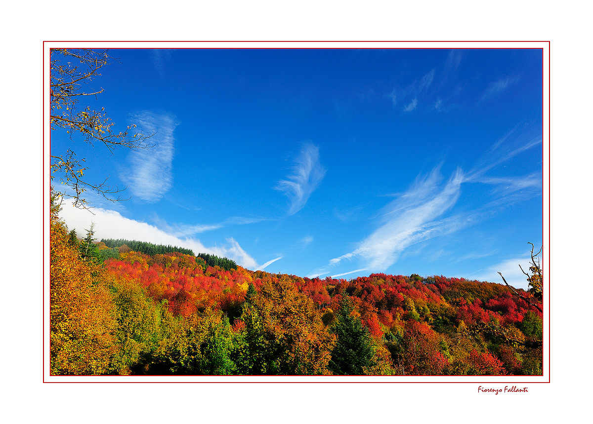 ...IL VERMONT DELL'APPENNINO..4