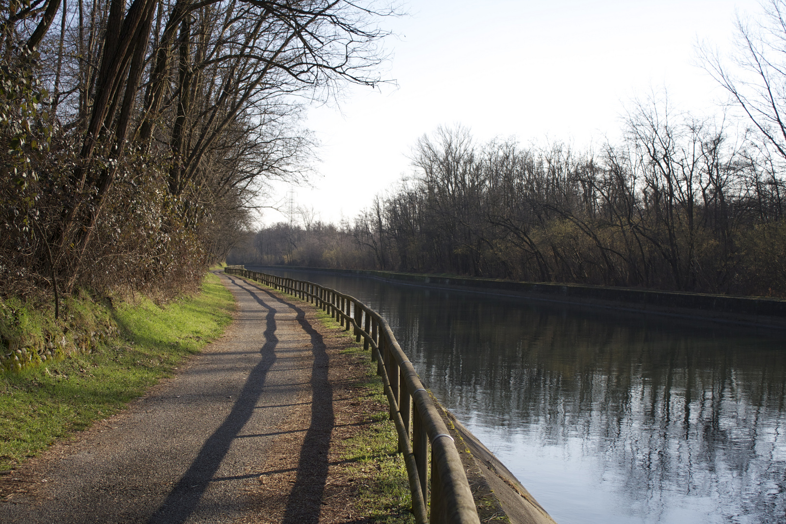 il viale