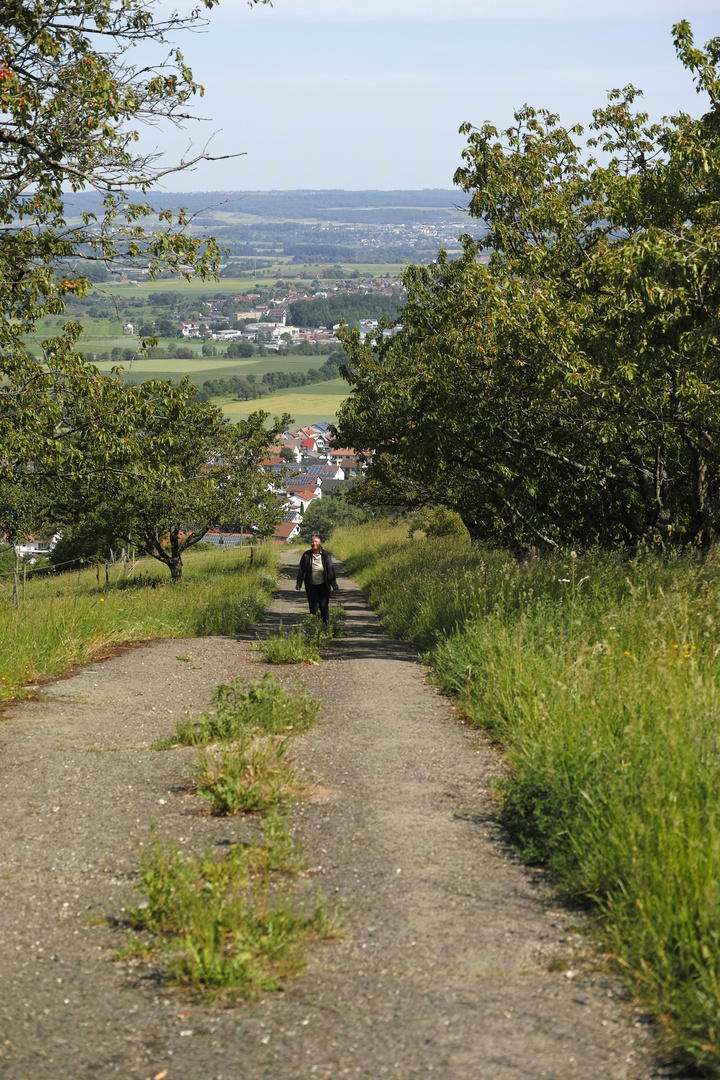 Il viale dei ciliegi con moglie