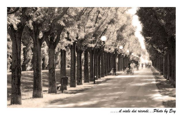 ..il viale dei ricordi...