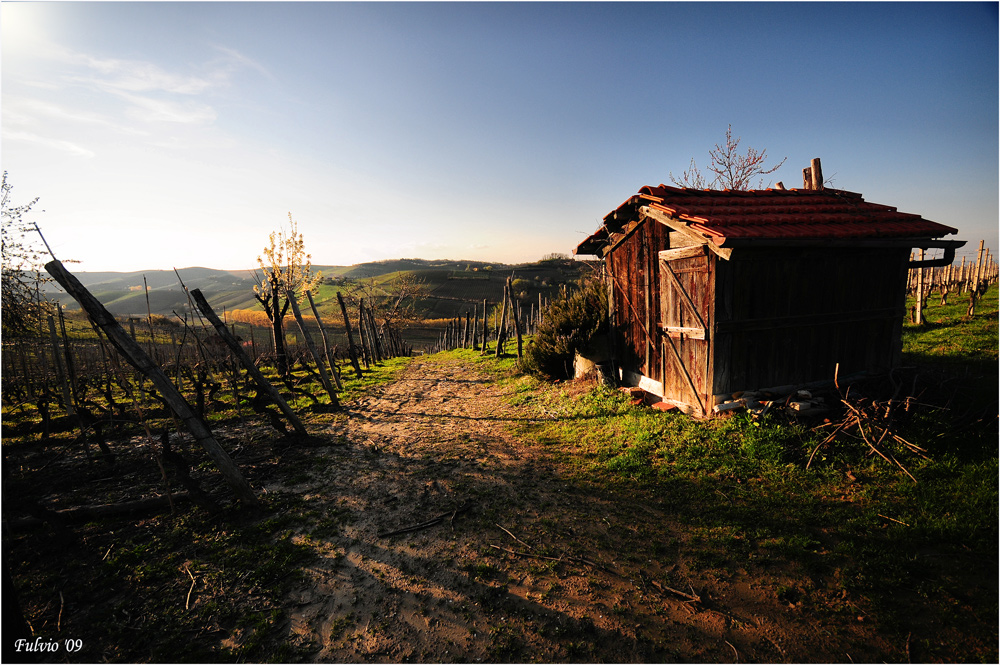 Il vino che verrà (2)