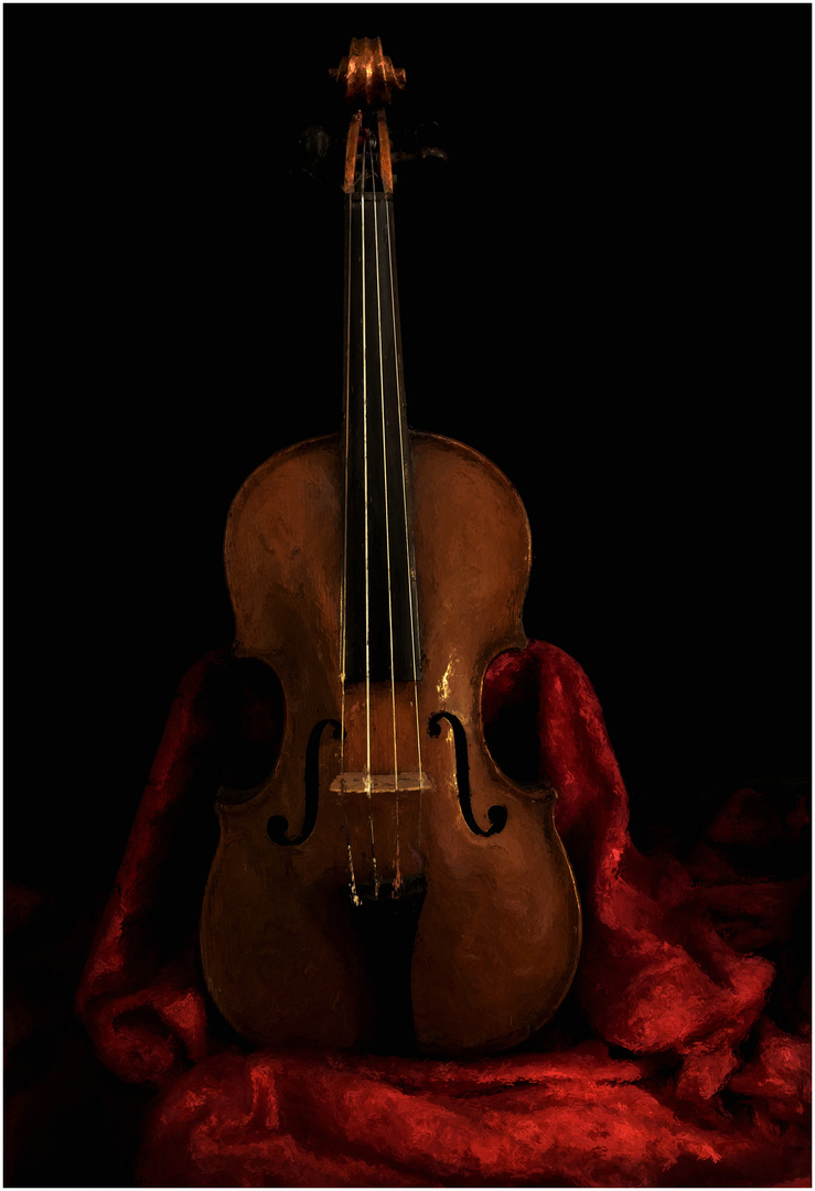 il violino