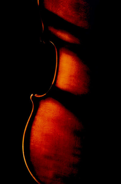 il violino