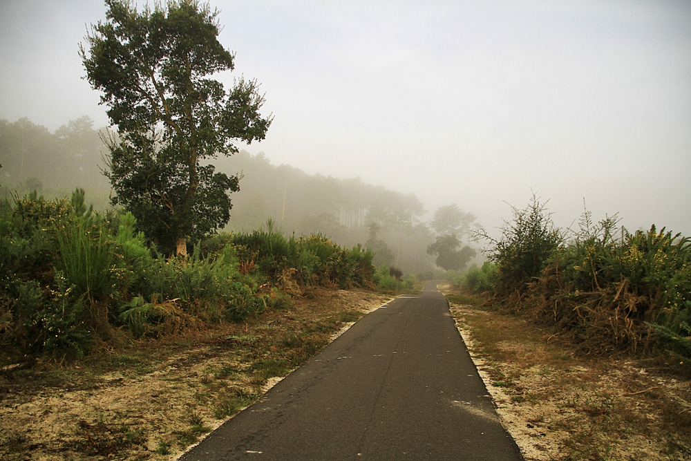 il y a du brouillard !