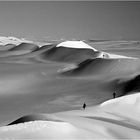 il y a du monde au désert ....... :-))