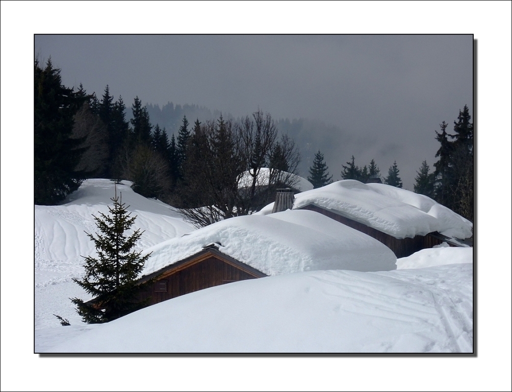 Il y a encore de la blanche en stock !!!