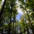 Il y a toujours un coin de ciel bleu