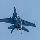 ILA 2012 (Hornet)