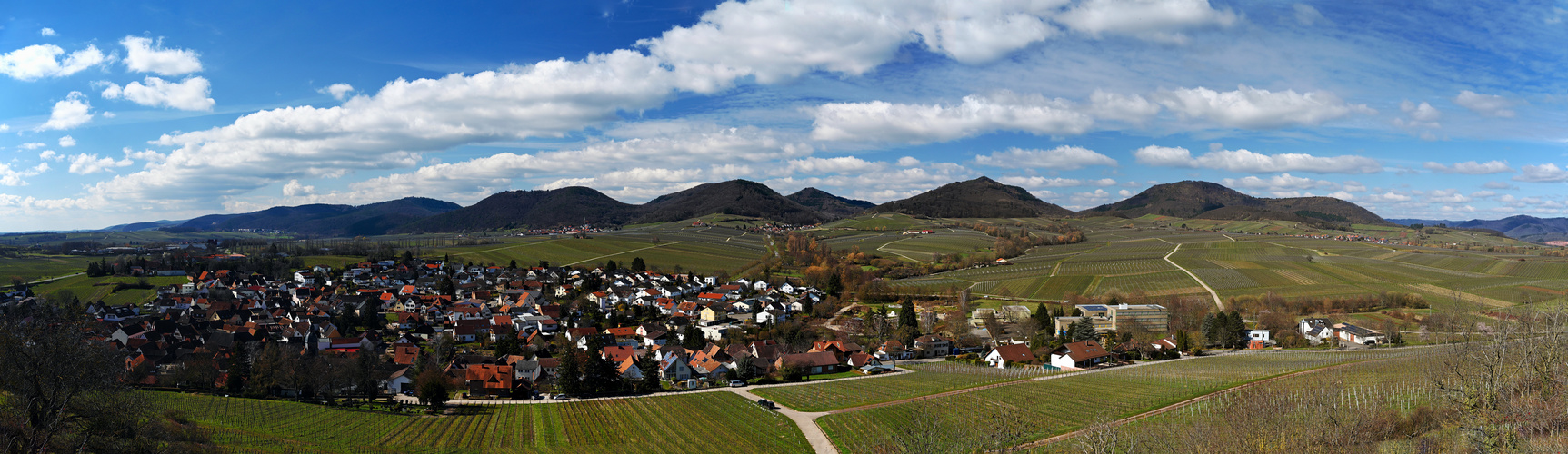 Ilbesheim, Weinberge und Biosphärenreservat Pfälzerwald