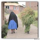 ile Amantani Titicaca Pérou ........