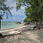 Ile aux Cerfs