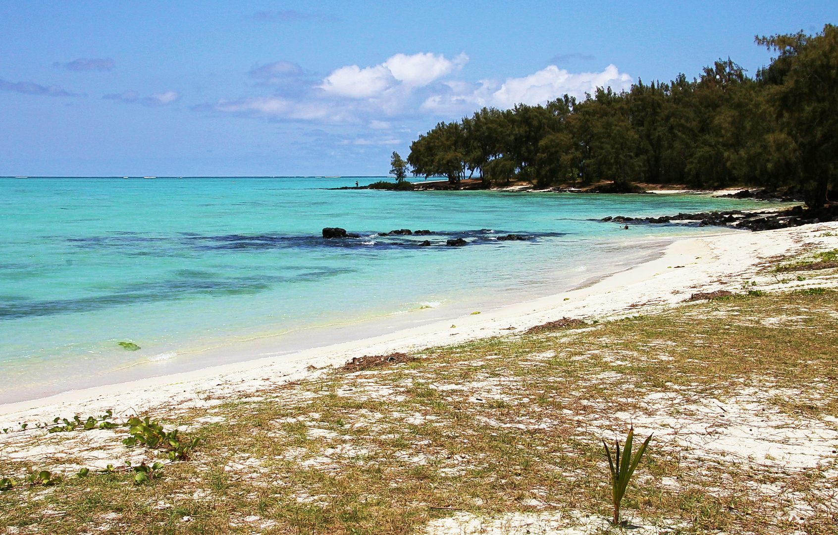 Ile aux cerfs