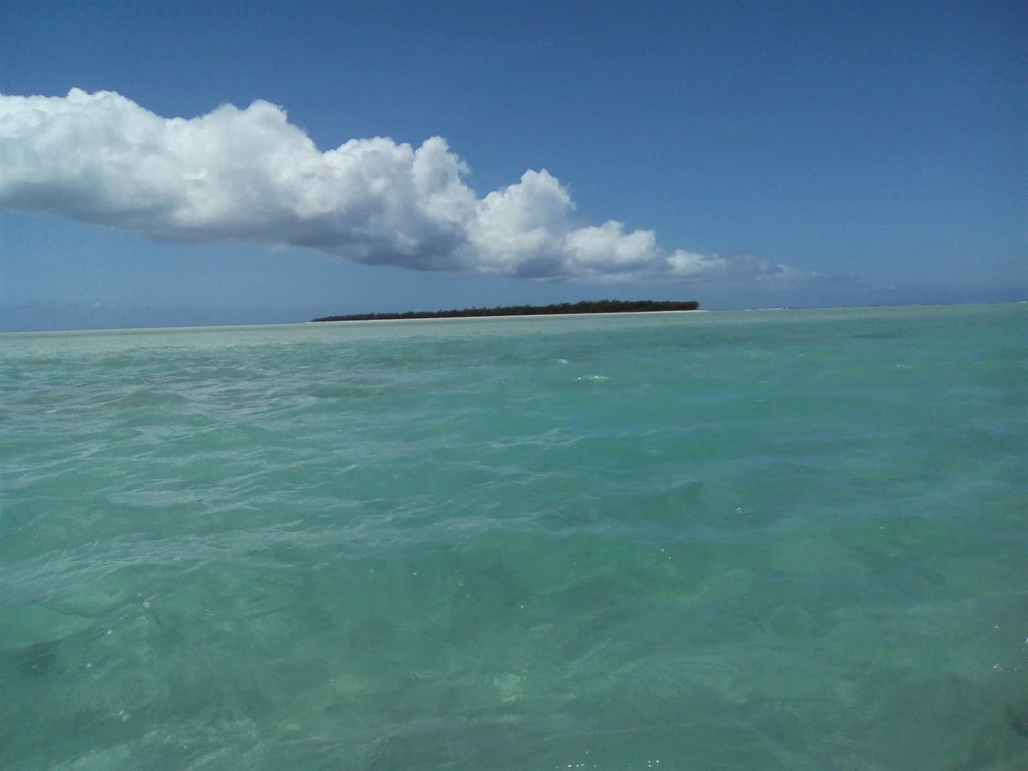 Ile aux cocos (Ile Rodrigues)