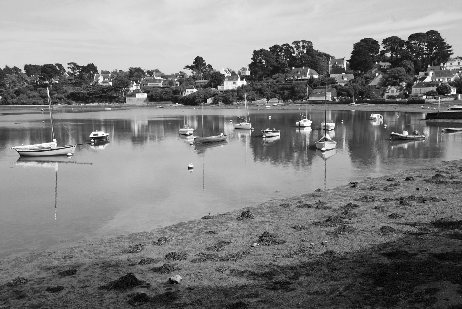 ile aux oiseaux