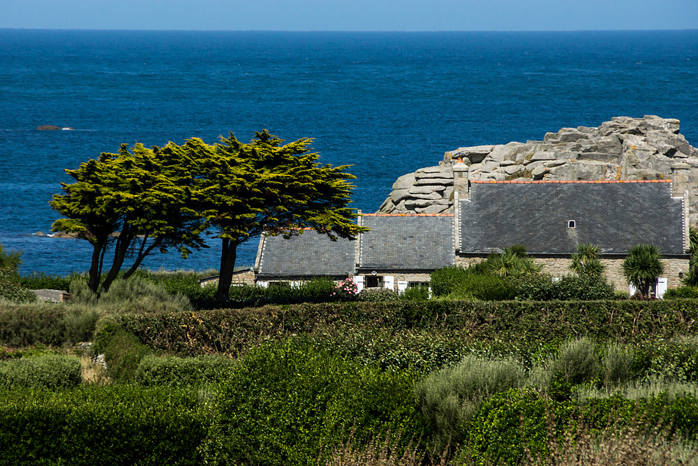 Ile de Batz 7