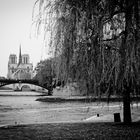 Ile de la Cité mit Notre Dame, Paris