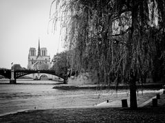 Ile de la Cité mit Notre Dame, Paris