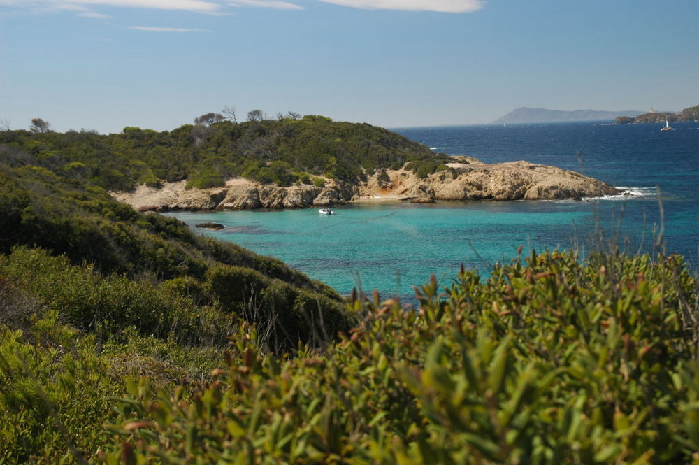 Ile de Porquerolles (Toulon,var,France)