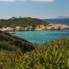 Ile de Porquerolles (Toulon,var,France)