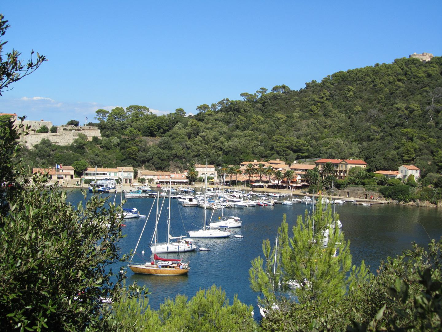 Ile de Port-Cros 1