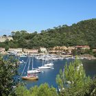 Ile de Port-Cros 1