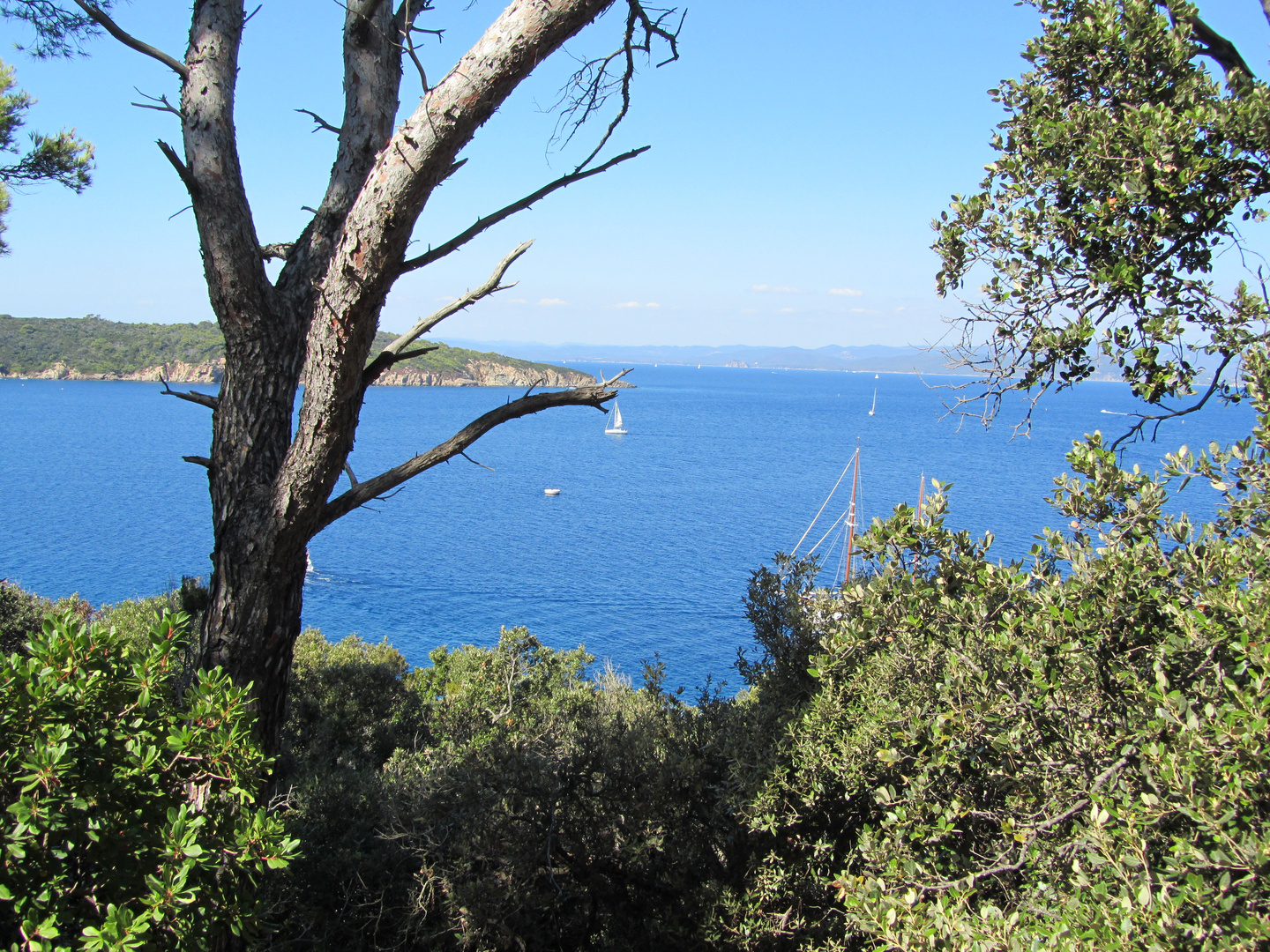 Ile de Port-Cros 2