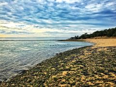 Ile de Ré - Fier d'Ars - plage de la patache - Januar-Promenade.