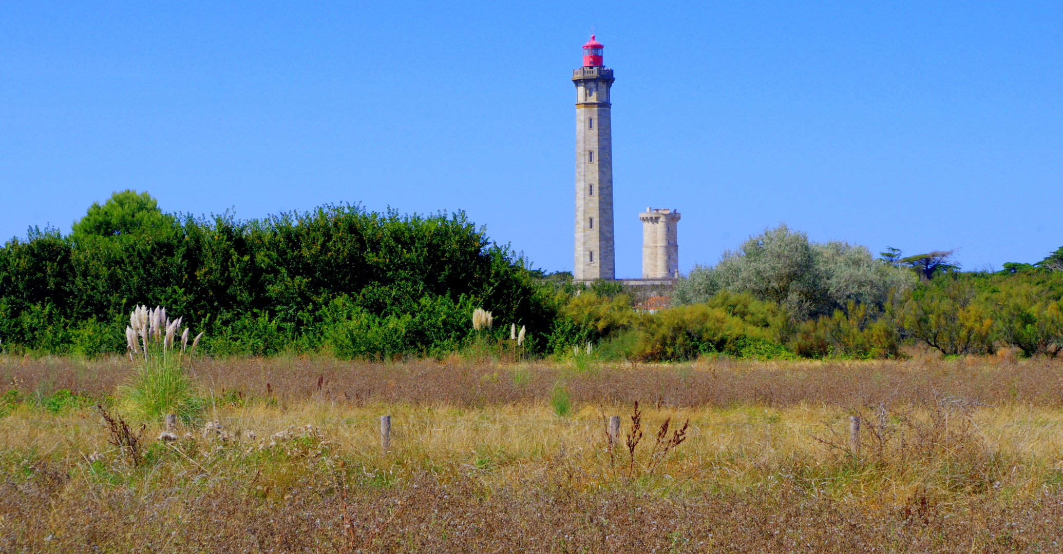 Ile de Ré ... le Phare et la vieille tour des baleines