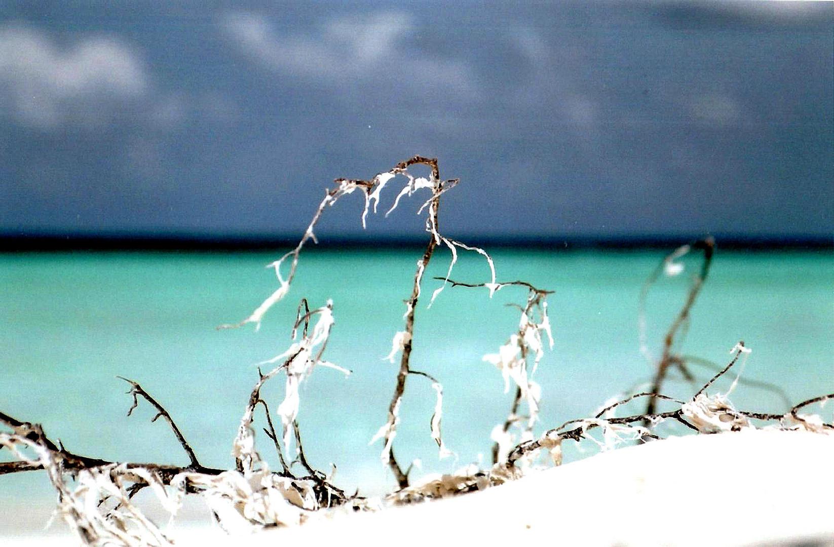 Ile déserte aux Maldives