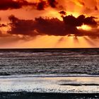 Ile d'Oleron - SW Frankreich, Atlantikküste