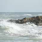 Ile d'Oleron - SW Frankreich, Atlantikküste