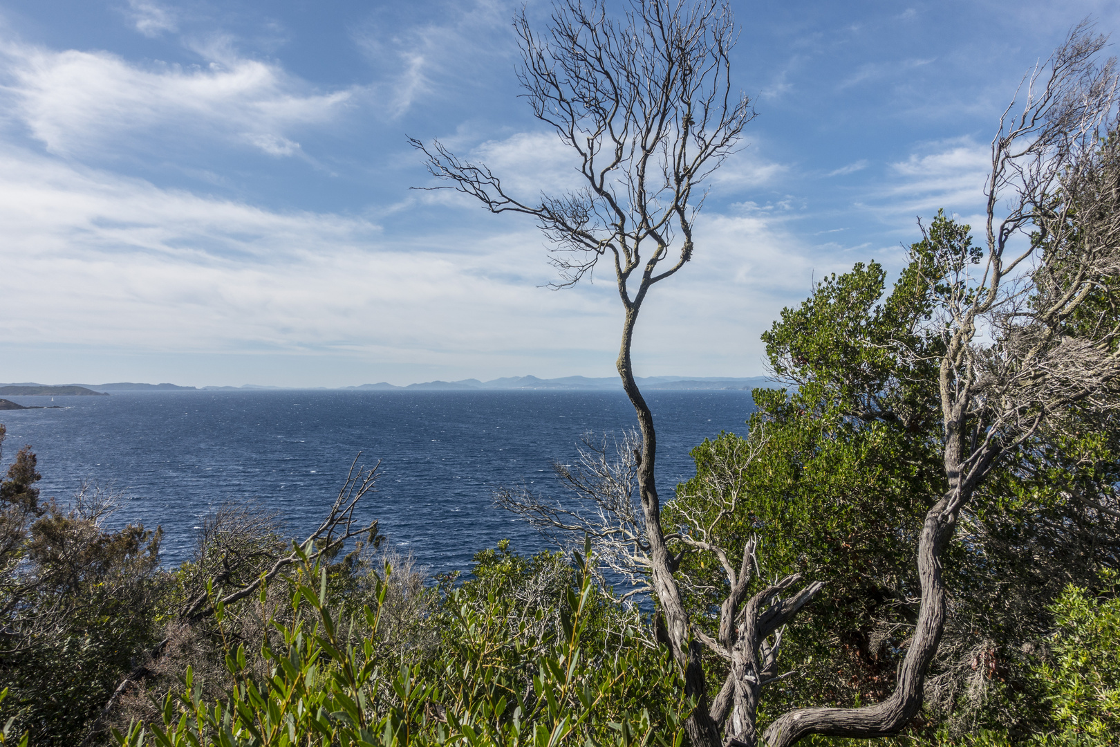 ILE DU LEVANT