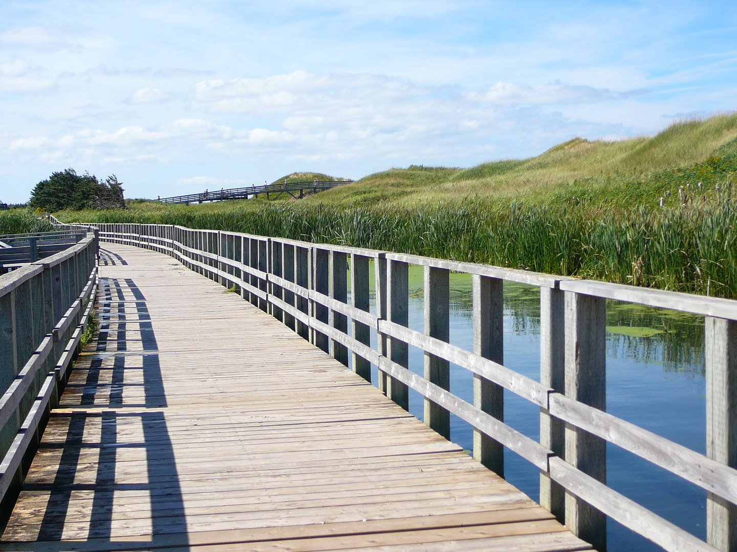 Ile-du-prince-Edouard Canada