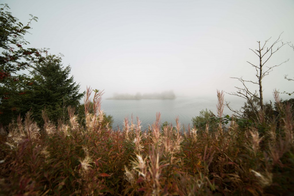 Ile embrumée - Ecosse