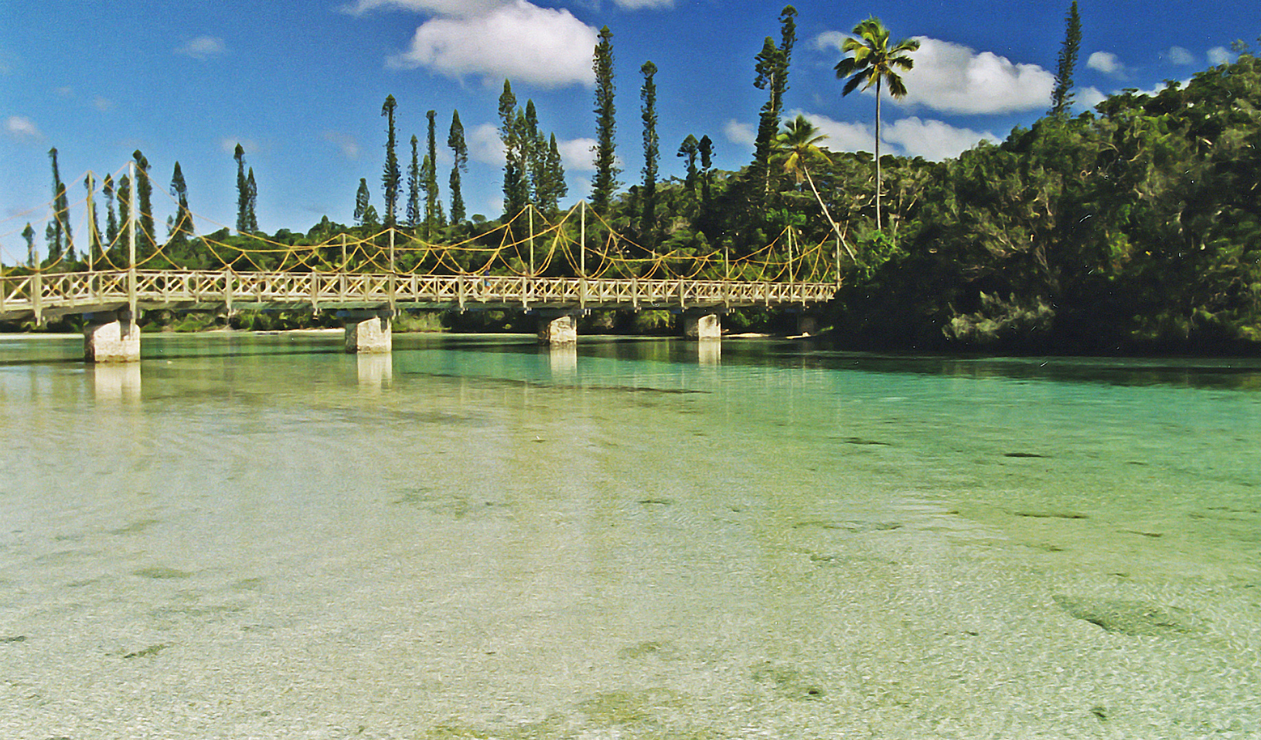 ILE PINES NEWCALEDONIA