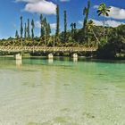 ILE PINES NEWCALEDONIA