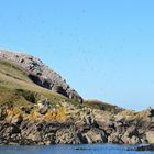 Ile Rouzic... la plus à l'est des Sept iles