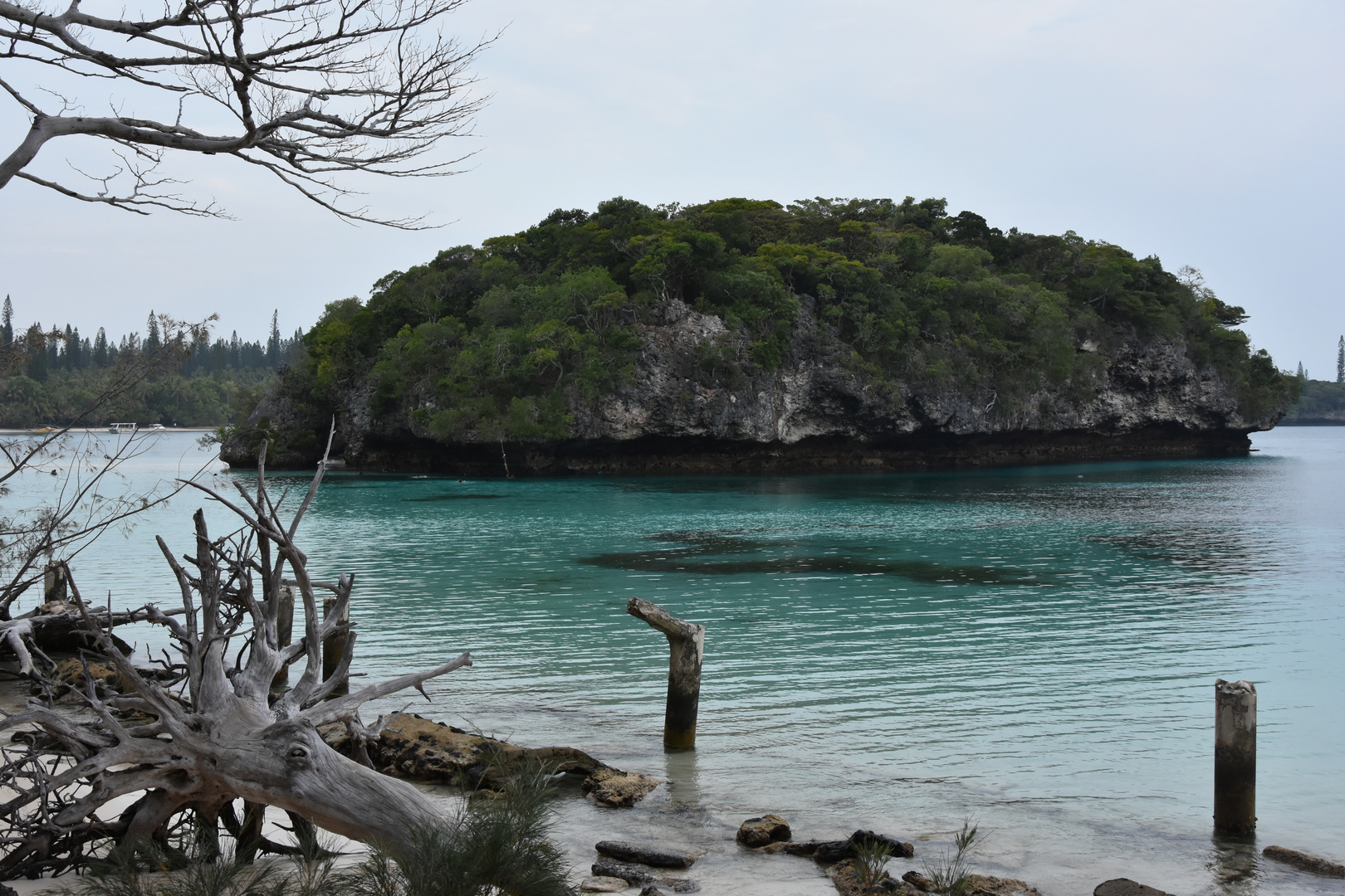 Iles au abord de la plage des Pins 