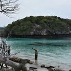 Iles au abord de la plage des Pins 