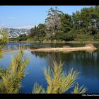 Iles de Lérins