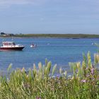 Iles des glenant en bretagne