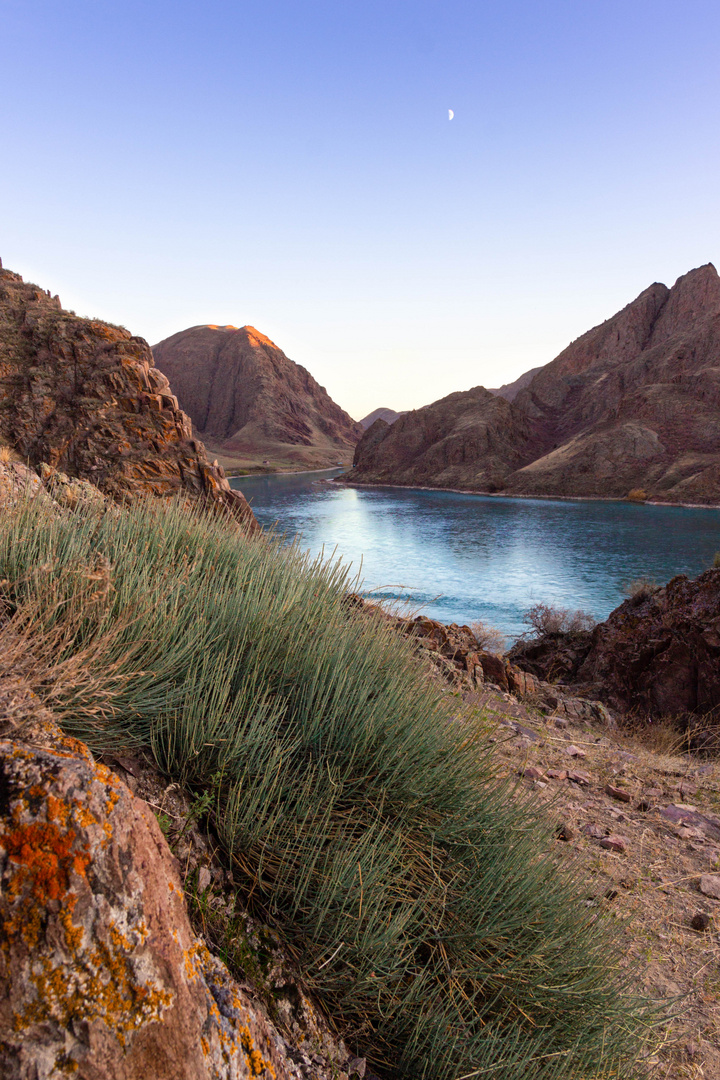 Ili river. Kazakhstan.