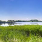 Ilkerbruch Aussicht aus der "Vogelhütte"