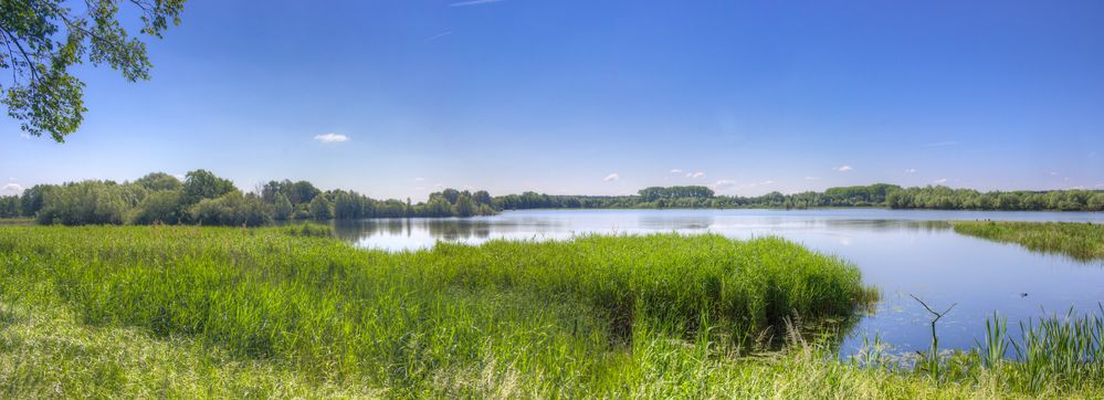 Ilkerbruch Aussicht aus der "Vogelhütte"