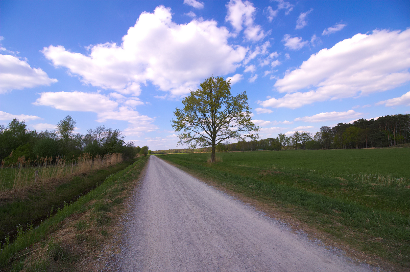 Ilkerbruch Wiesen am 26.04.2020